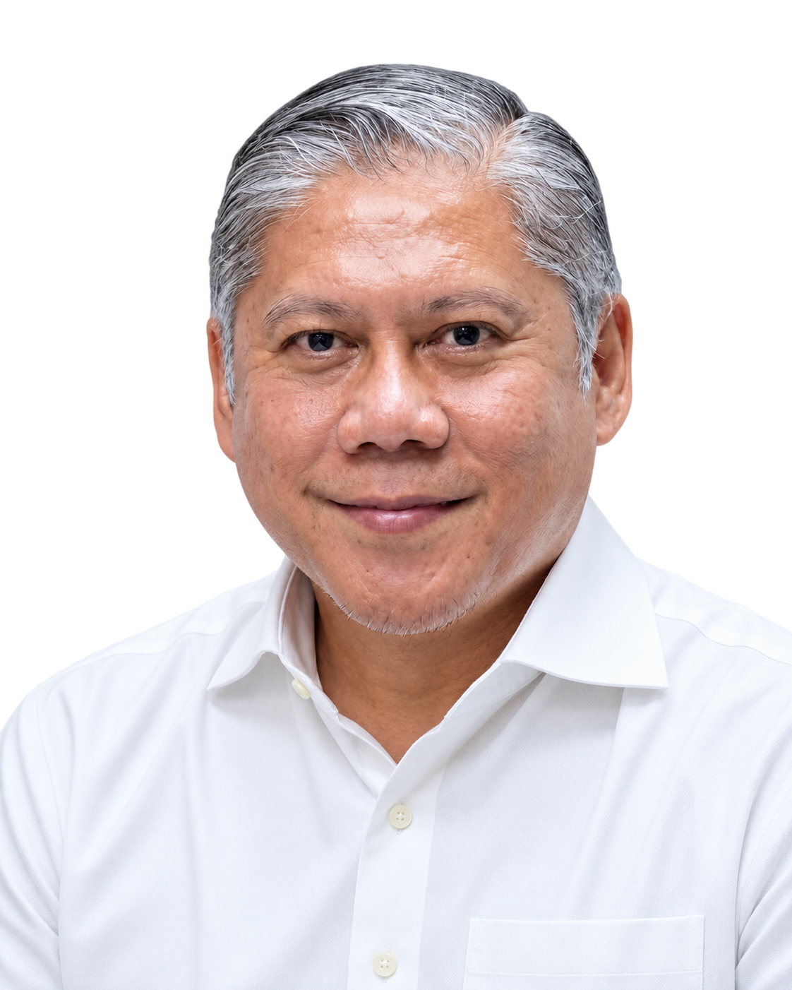 Mr. Michael Alexander Ang